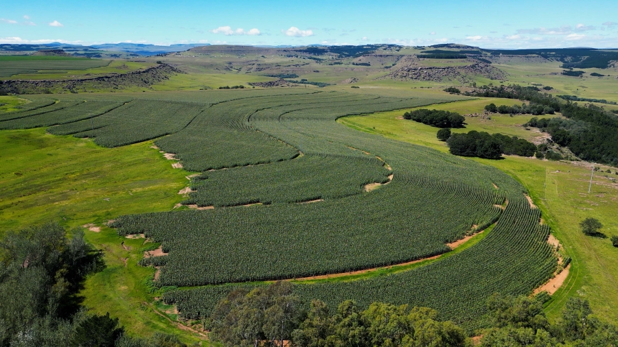 0 Bedroom Property for Sale in Maclear Rural Eastern Cape